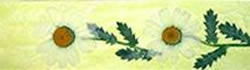 senaladoresconfloresecas-3