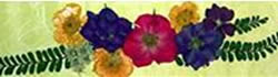 senaladoresconfloresecas-4