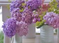 imagen Floreros económicos para la primavera