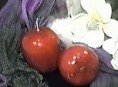 imagen Vela con forma de manzana paso a paso