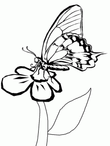 Mariposas para colorear-06