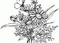 imagen Mariposas para colorear