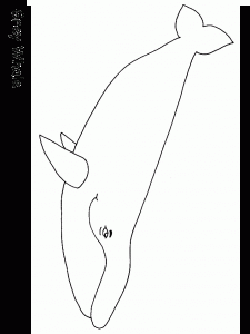Ballenas para colorear-01