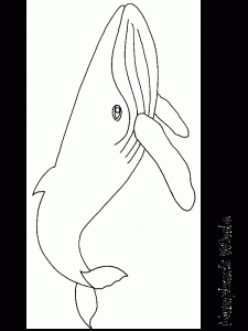 Ballenas para colorear-02
