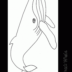Ballenas para colorear-02