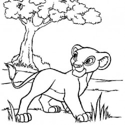 El Rey Leon para pintar en casa-03