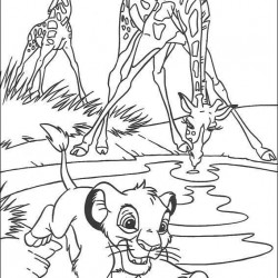 El Rey Leon para pintar en casa-20