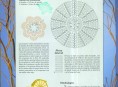 imagen Tejido a crochet: un delicado bolso