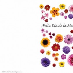 Tarjetas para imprimir del dia de la madre8 Tarjetas para imprimir del dia de la madre8