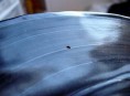 imagen Manualidades de reciclado: reloj con un disco de vinilo