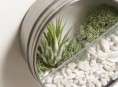 imagen Recicla latas para decorar tu hogar