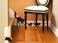 imagen Halloween: patrones de ratones y gato para hacer en fieltro