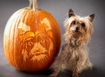 imagen Manualidades de Halloween: tu perro tallado en calabazas