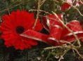 imagen Adorno con flores para Navidad