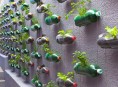 imagen Un jardín artístico y reciclado