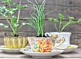 imagen Tacitas de té con flores