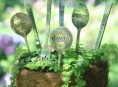 imagen Cómo hacer marcadores para el jardín con cubiertos