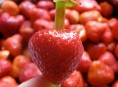 imagen Cómo limpiar fresas fácilmente