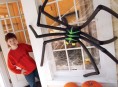 imagen Araña gigante para hacer con los peques