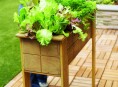 imagen Cómo hacer una pequeña cama para ensaladas