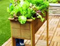 imagen Cómo hacer una pequeña cama para ensaladas