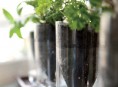 imagen 5 ideas para reutilizar botellas de plástico desechables