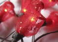 imagen Luces de rosas