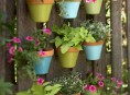 imagen Un jardín vertical con macetas
