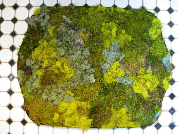 Alfombras de baño de musgo y piedras guÃa de manualidades