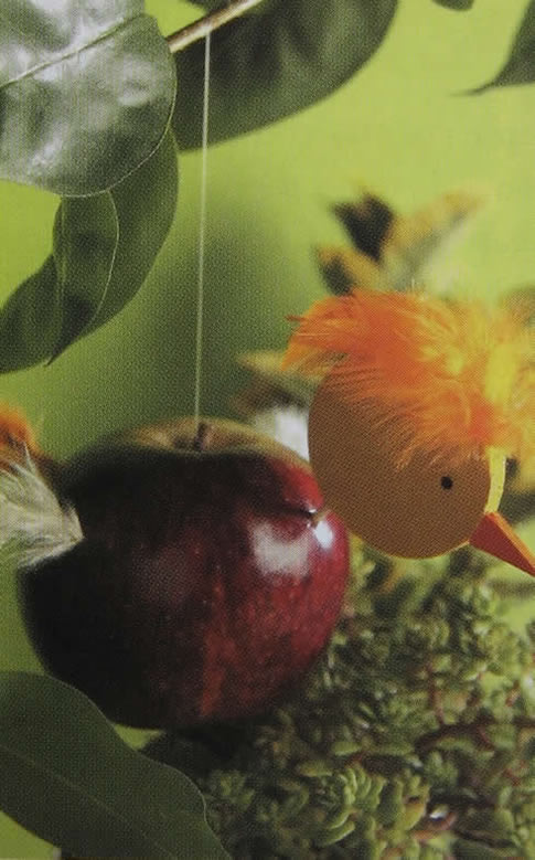 Idea para que las aves visiten tu jardin Idea para que las aves visiten tu jardin