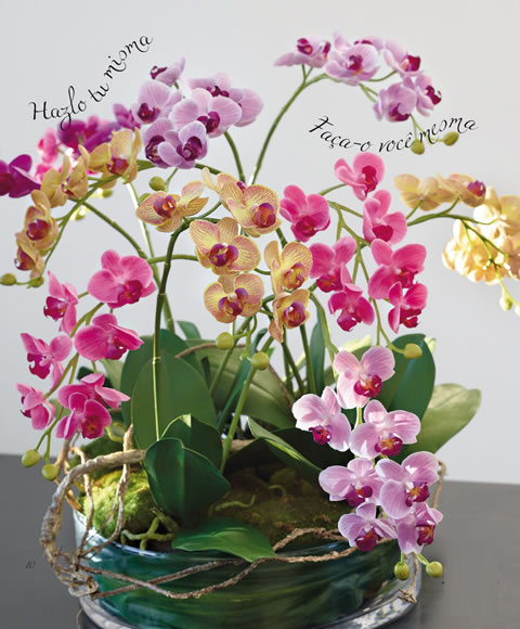 shia-centro-de-mesa-con-orquídeas Shia Centro de Mesa con Orquídeas