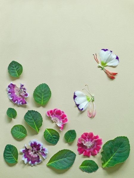 Una belleza sólo con flores 14