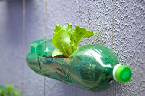 Un jardín artístico y reciclado 3