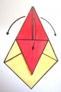 Paso 7