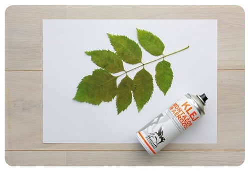 cuadros decorativos con plantas 2