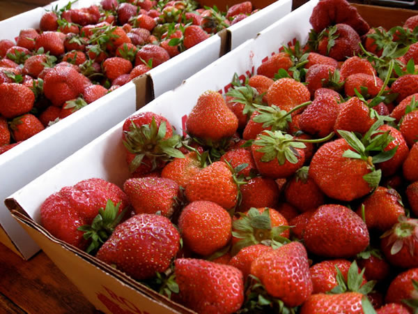 Limpiar fresas