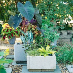 Cómo hacer jardineras con losetas de cemento - Guía de MANUALIDADES