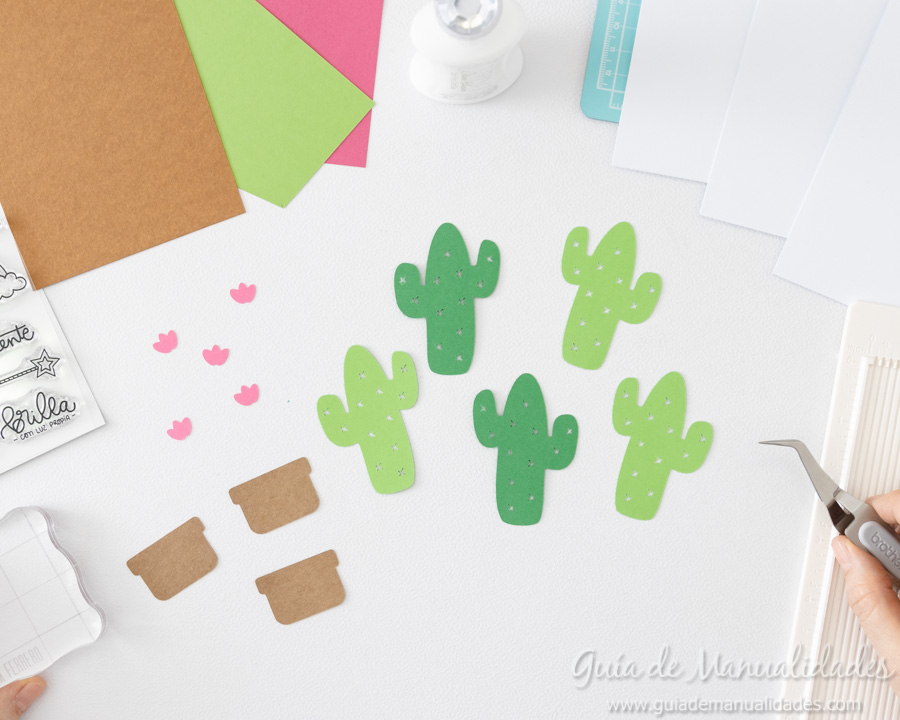 Tarjeta mini cactus 3