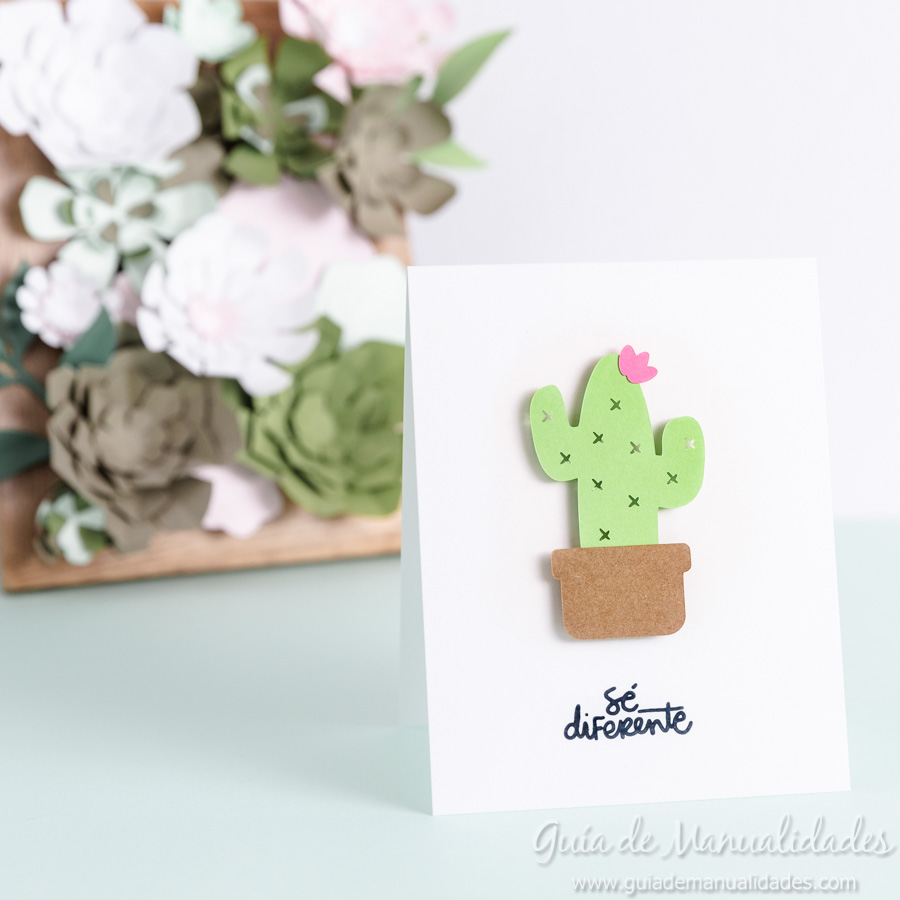 Tarjeta mini cactus 7